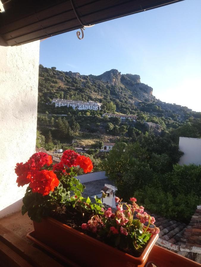Casa Rural En Grazalema Eksteriør billede
